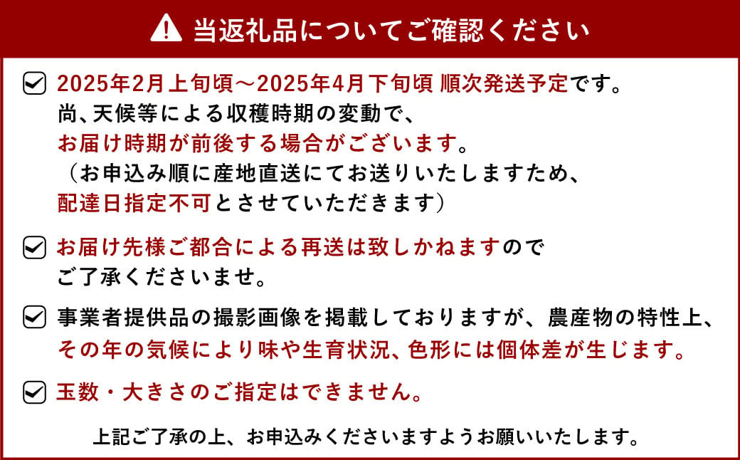 【先行受付】不知火 10kg（30玉～44玉）【ひかる農園】デコポンと同品種 しらぬい 先行予約 熊本【2025年2月上旬から4月下旬発送予定】