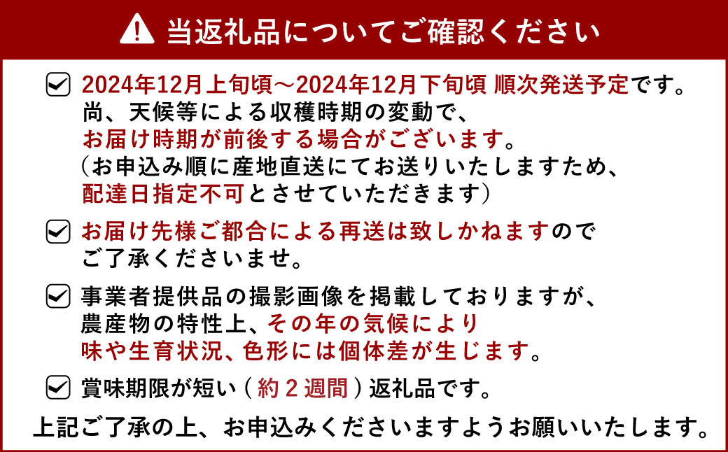 山口さん家の尾崎みかん 約5kg 【12月上旬から12月下旬発送予定】柑橘 果物 フルーツ