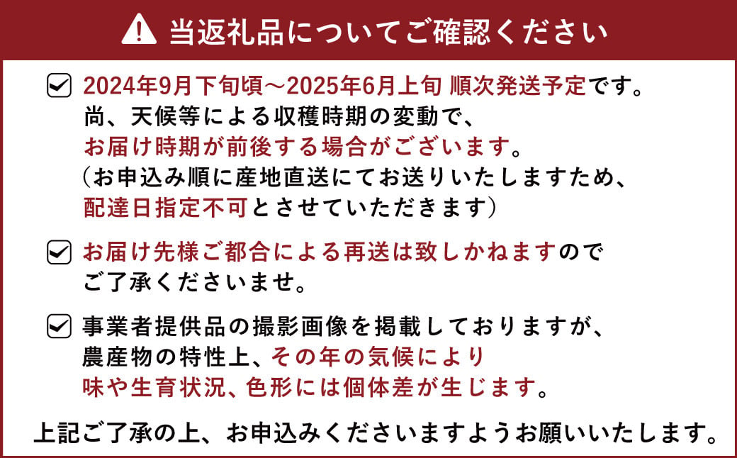 国産 マイヤーレモン 約3kg 15〜20玉【吉田レモニー】【2024年9月下旬〜2025年6月上旬発送】れもん 柑橘 かんきつ