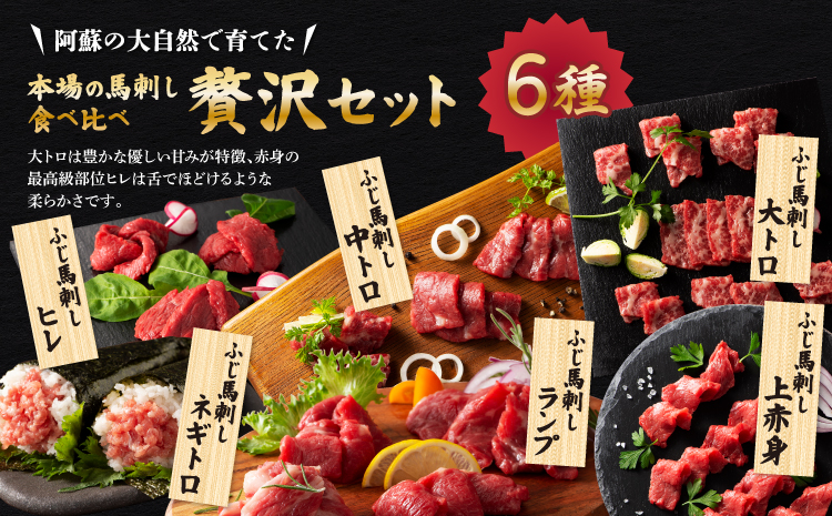 「熊本特産」 フジチク厳選のふじ馬刺し6種セット 馬肉 馬刺し 肉 刺身 お肉 精肉 生肉 大トロ 中トロ ヒレ シャトーブリアン ランプ 赤身 上赤身 ネギトロ 霜降り 馬 熊本 熊本県 産地直送 自社牧場 自社加工 本場 食べ比べ 詰め合わせ 冷凍 新鮮 フジチク
