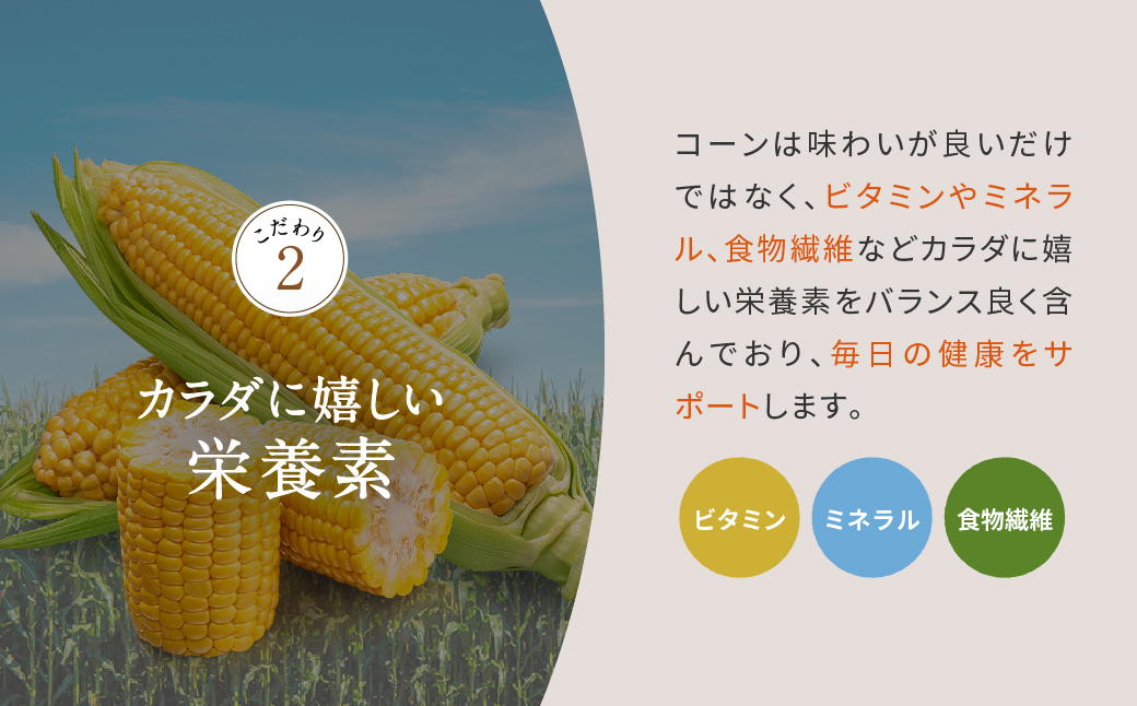 香ばし茶房 国産 コーン茶 160g（4g×40包） お茶 茶 ティー ティーバッグ ノンカフェイン 熊本県 宇城市