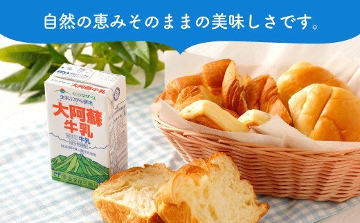 【6ヶ月定期便】大阿蘇牛乳 計144本 1ケース（250ml×24本）×6回 生乳100% ミルク 成分無調整牛乳