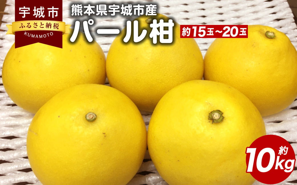 【先行予約】 熊本県宇城市産 パール柑 約10kg 【2025年3月上旬から4月上旬発送予定】文旦 柑橘 フルーツ 果物 果実 みかん 蜜柑 ミカン