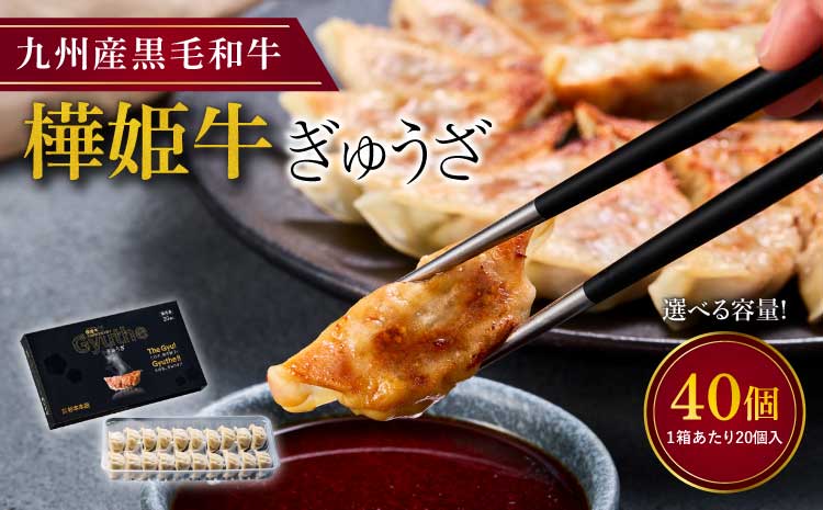 樺姫牛 ぎゅうざ 40個入 20個×2箱