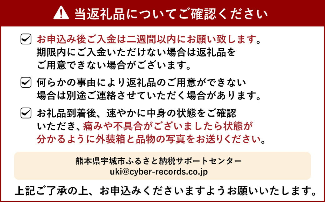 【先行予約】 宇城市産 加温栽培 不知火 約3kg（約7玉～10玉）【坂下園】【2024年12月上旬から下旬発送予定】しらぬい 蜜柑 熊本県産 九州産 国産