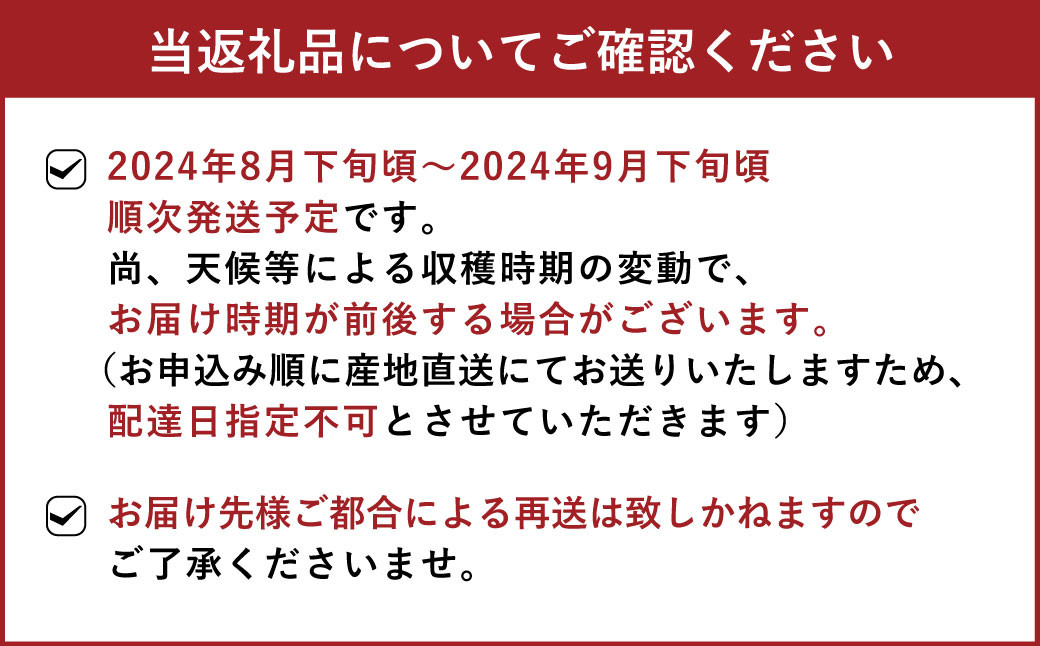 濃あま梨 約3kg（6〜10玉前後）【農園とフォーク青果店】品種おまかせ【8月下旬から9月下旬発送予定】