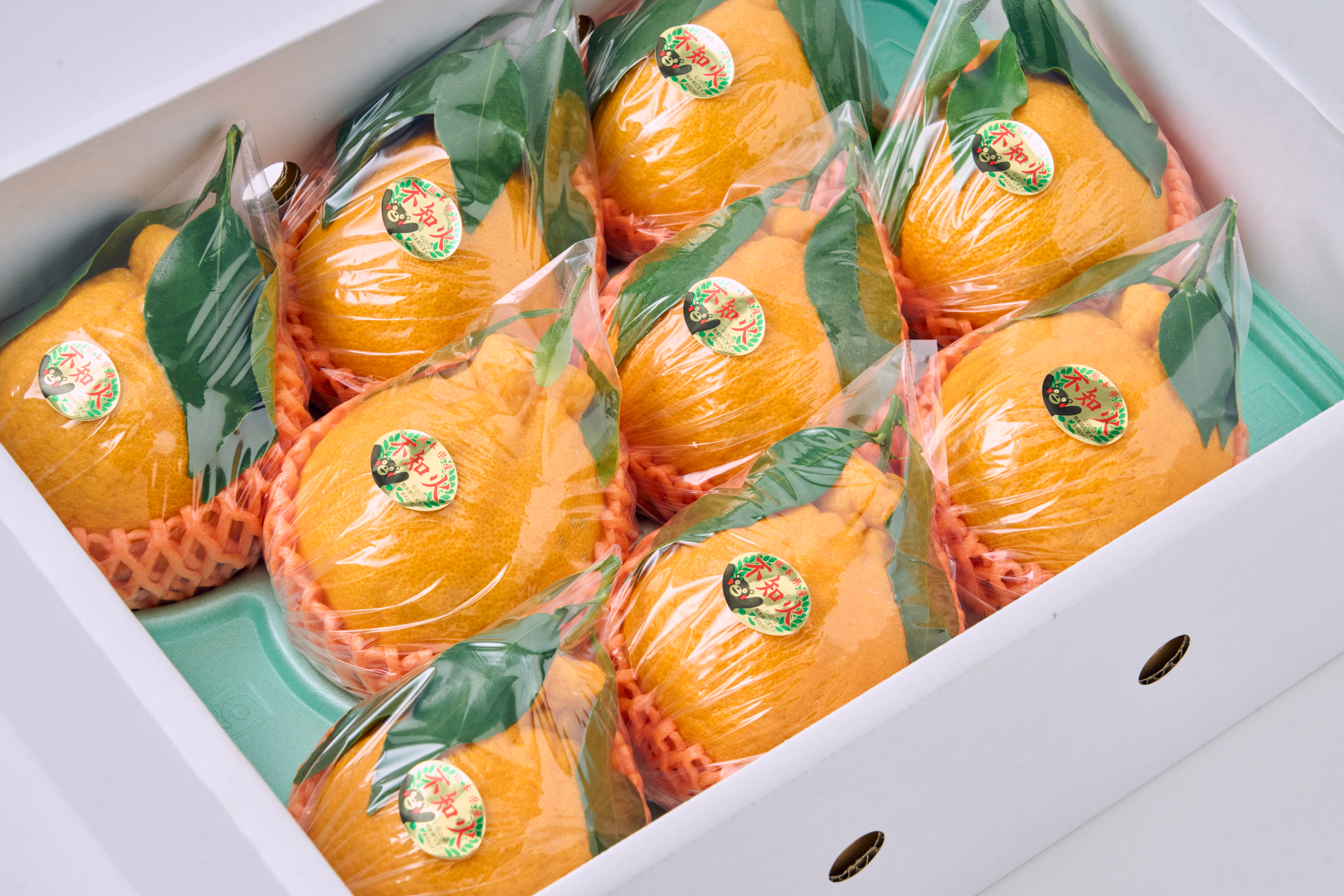 先行予約 不知火 果実の宝箱葉付きデコ柑不知火 約2.5kg 7玉〜11玉 【2026年3月上旬から5月下旬発送予定】 しらぬい 柑橘 みかん ミカン 蜜柑 果物 くだもの フルーツ 九州産 熊本県産 宇城市産 国産 田辺農園