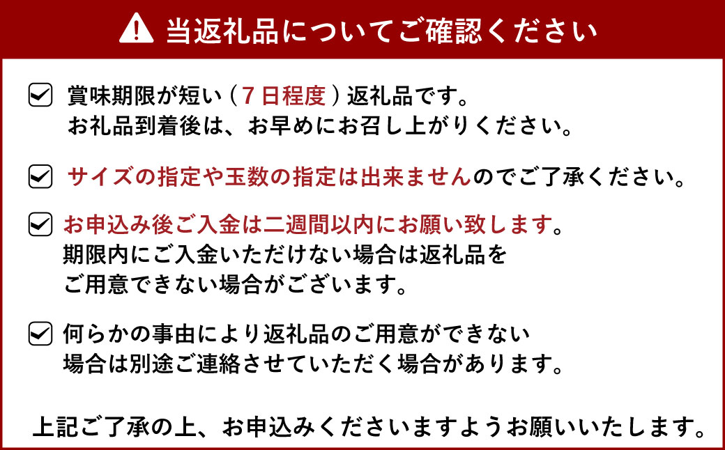 宇城市産 完熟 不知火 約5kg 【髙橋果樹園】【2025年2月上旬から3月下旬発送予定】不知火 しらぬい みかん ミカン