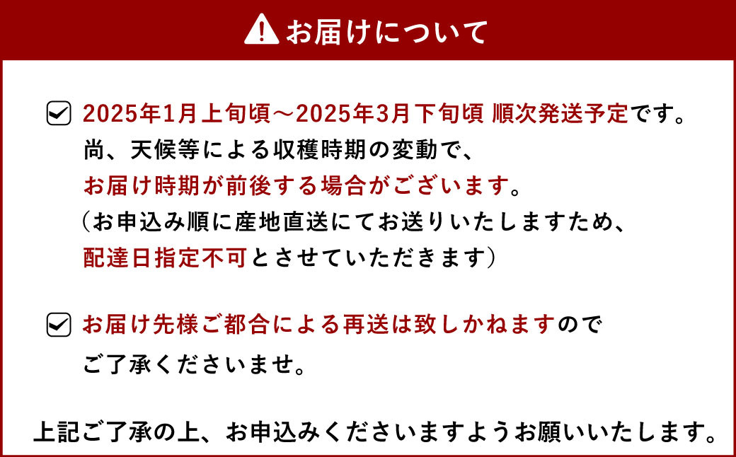 【2025年1月発送】季節限定！ 新鮮朝摘みいちご「さがほのか」約1.5kg （250g×6パック）だいこく農園合計1.5kg いちご イチゴ 苺 ストロベリー