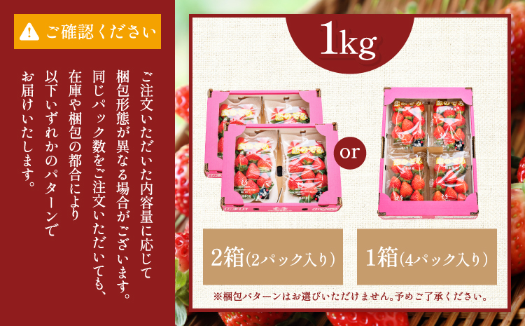 先行予約 いちご 恋のぞみ (250g×4パック) 合計1kg 【2026年2月上旬～3月上旬発送予定】熊本県産  冷蔵 小分け いちご 熊本県産 苺 JA熊本うき