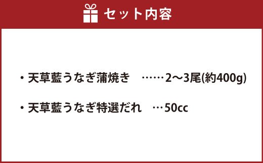 【数量限定】海水育ちの天草藍うなぎ 蒲焼き 2〜3尾セット（計約400g）鰻