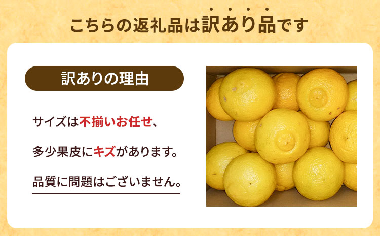 【先行予約】  訳あり はるか 約5kg（22玉〜27玉）【吉田レモニー】【2026年2月上旬〜2026年5月下旬発送】