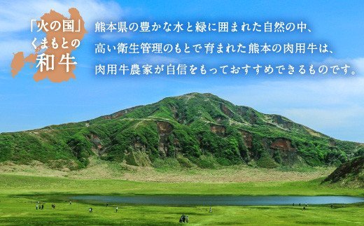 和牛 サーロイン ステーキ 600g（200g×3枚）黒毛和牛 牛肉