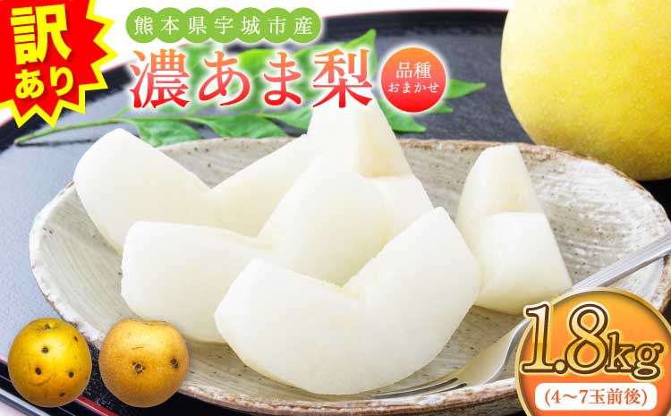 先行予約 濃あま梨 約1.8kg 品種おまかせ 訳あり【2026年8月中旬から9月下旬発送予定】 梨 なし 秋月 幸水 豊水 新高 秋麗 甘太 和梨 お取り寄せ 冷蔵 国産 九州 熊本県 宇城市 小川町産 農園とフォーク青果店