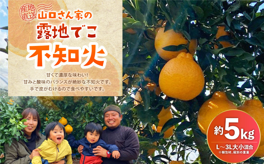 【先行受付】【2024年2月下旬より順次発送予定】山口さん家の露地でこ不知火 約5kg L〜3L大小混合 柑橘 果物 フルーツ