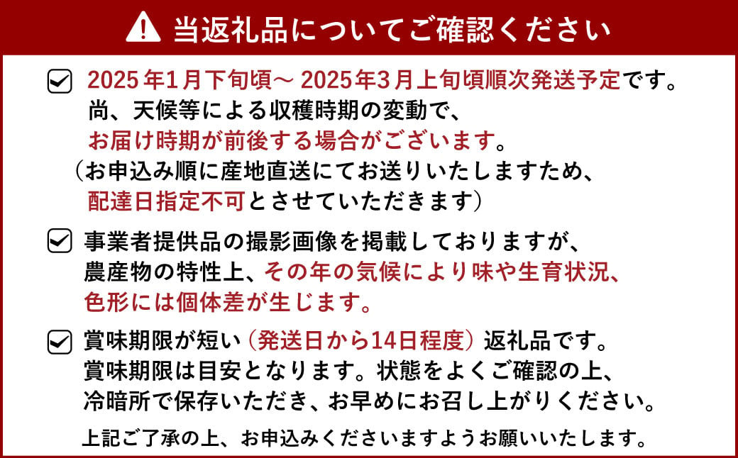 【先行予約】訳あり ハウス 不知火 約5kg【合同会社宝Farm】【2025年1月下旬から3月上旬発送予定】