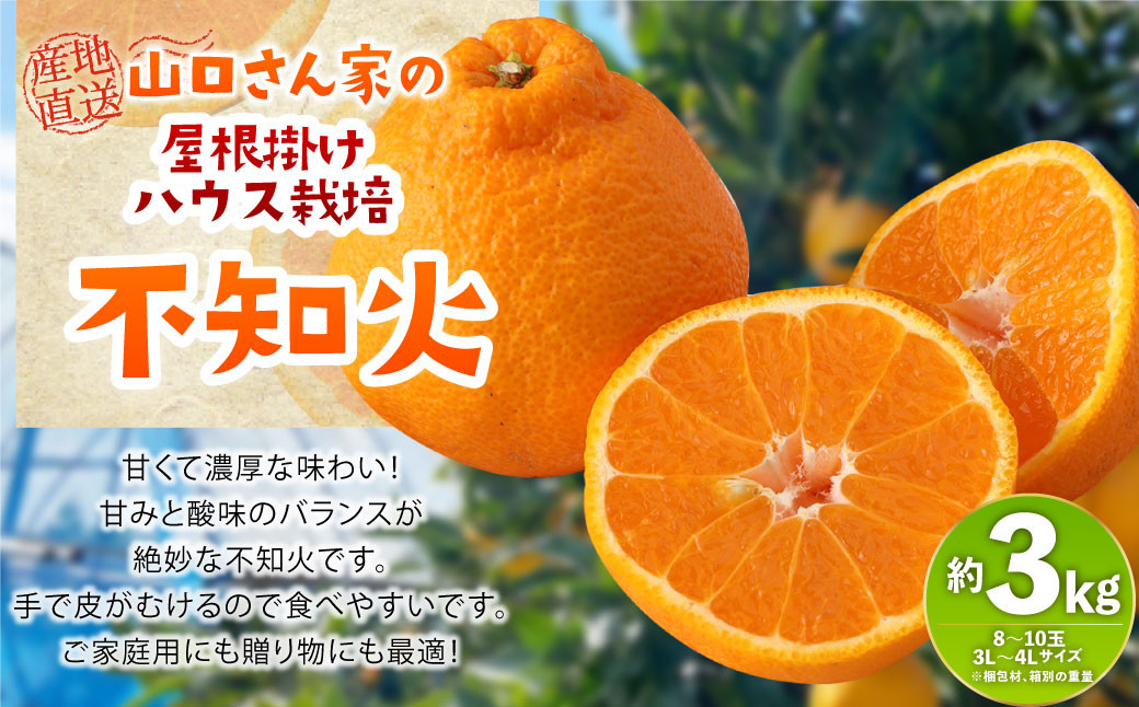 【先行受付】屋根掛けハウス栽培 山口さん家の不知火 約3kg 8～10玉 3L～4L【2025年1月上旬から2月上旬発送予定】柑橘 果物 フルーツ