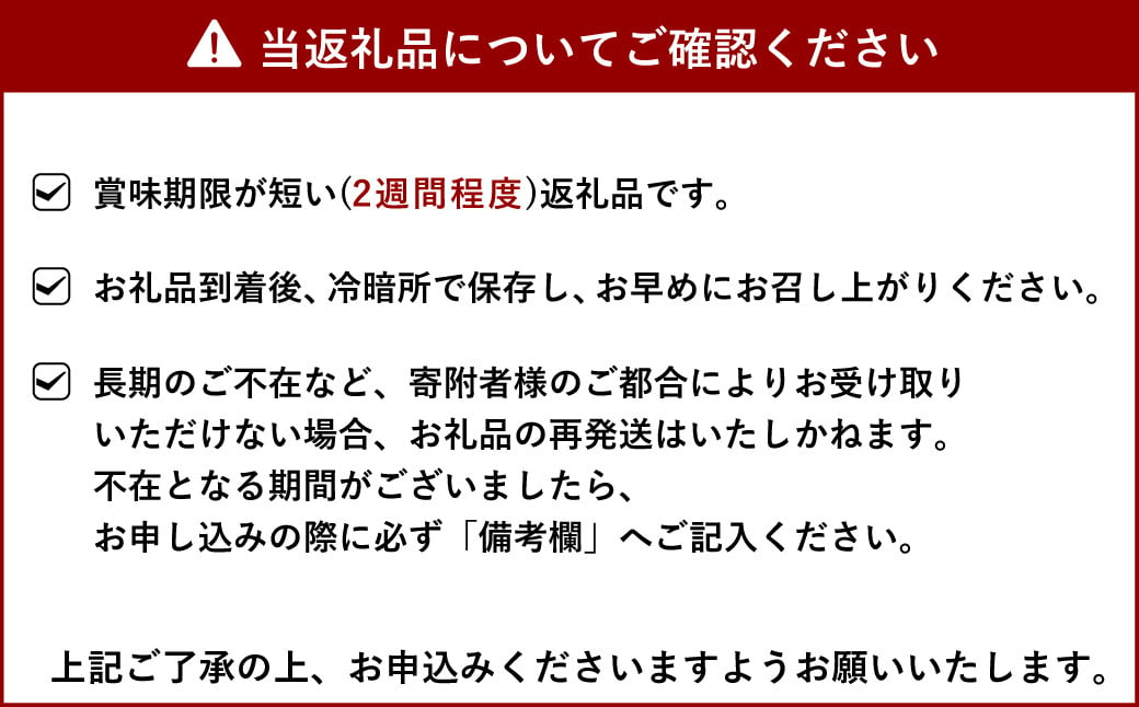 【先行予約】宇城市産 デコみかん 約10kg 不知火 粒揃い【2025年1月下旬から3月上旬発送】柑橘 フルーツ