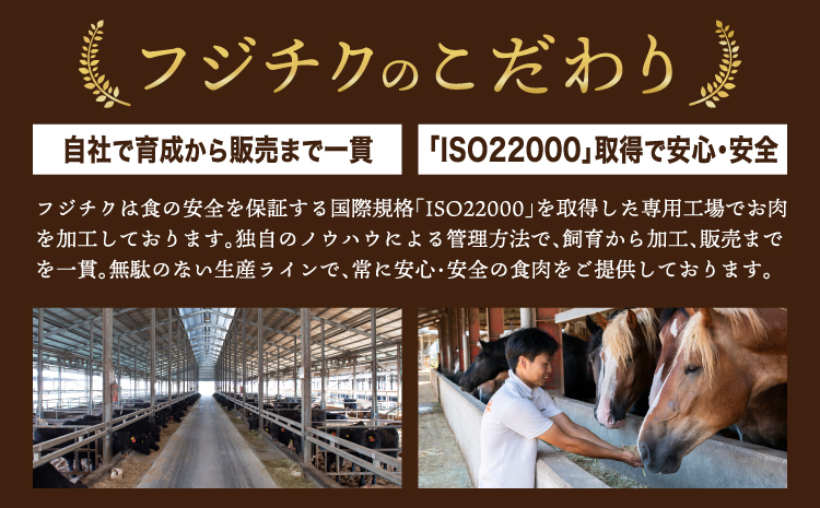  ふじ馬刺し上級赤身3種とユッケネギトロの詰め合わせ 馬肉 馬刺し  ユッケ ネギトロ 赤身 ロース ランプ 本場 食べ比べ 計5種 セット 専門店 自社牧場 産地直送 家庭用 お取り寄せ ご褒美 贅沢 おつまみ 小分け 贈答 ギフト プレゼント フジチク