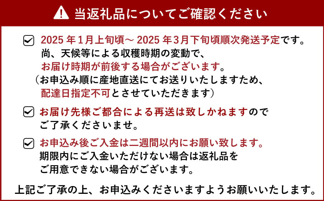 【2月発送】化粧箱入り 宇城市産 あまおとめ 約600g（約300g×2パック）【NAGATA FARM】合計600g 果物 くだもの フルーツ 果実 苺 いちご イチゴ