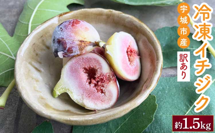 訳あり 冷凍 イチジク 約1.5kg【合同会社宝Farm】