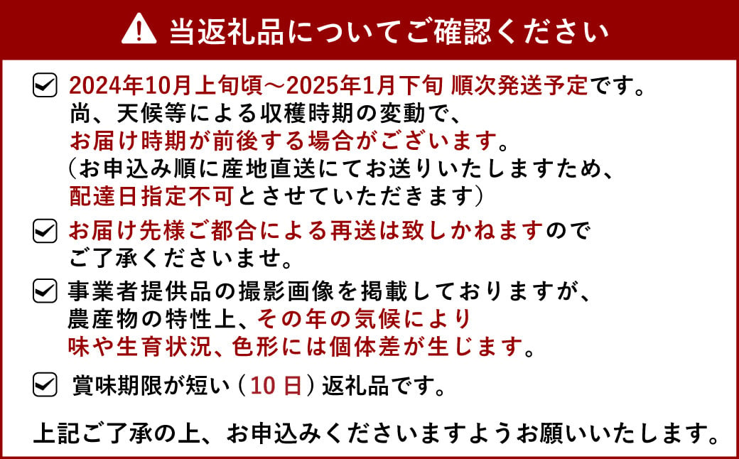 愛紅小町 あいかちゃん 約5kg 45〜55玉 【吉田レモニー】 【2024年10月上旬〜2025年1月下旬発送】温州みかん