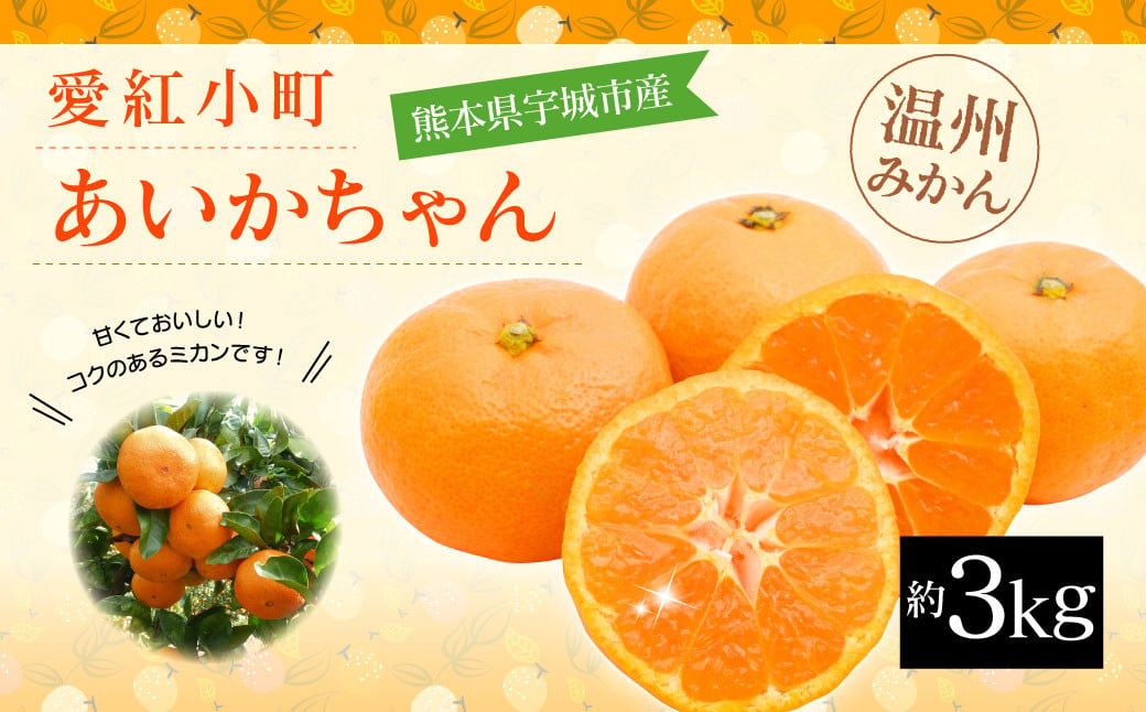 愛紅小町 あいかちゃん 約3kg 25〜35玉【吉田レモニー 】【2024年10月上旬〜2025年1月下旬発送】温州みかん