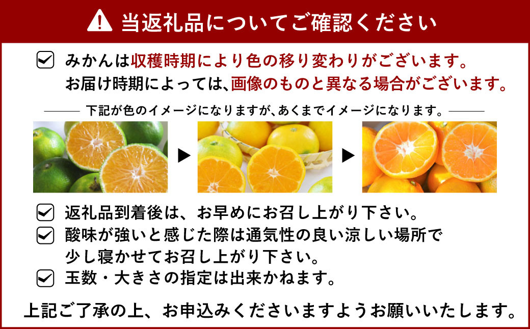 【先行受付】【9月上旬より順次発送予定】宇城市産山口さん家の極早生みかん 約5kg 柑橘 果物 フルーツ