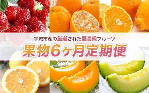 【使用不可】【先行予約】 果物 6か月定期便 合計6回 いちご 1kg ぽんかん 4.5kg デコポン 2kg ジューシーオレンジ 4.5kg クインシーメロン 2kg 肥後グリーン 1.3kg 定期 頒布 フルーツ くだもの 苺 不知火 メロン 熊本 くまふる 【2026年1月上旬から順次発送予定】