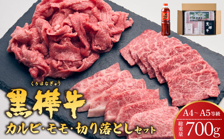 九州産黒毛和牛 杉本本店 黒樺牛 A4〜A5等級  焼き肉用 カルビ・モモ・切り落としセット 計700g タレ1本