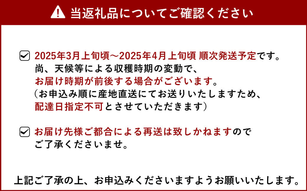 【先行予約】 熊本県宇城市産 パール柑 約10kg 【2025年3月上旬から4月上旬発送予定】文旦 柑橘 フルーツ 果物 果実 みかん 蜜柑 ミカン