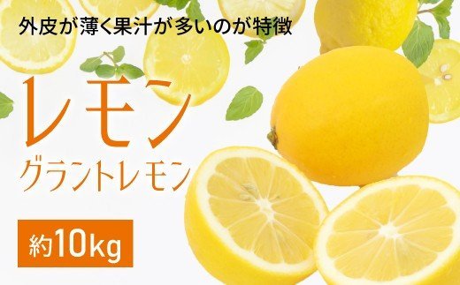 【11月上旬～順次発送予定】グラントレモン 約10kg（70～100玉）国産 檸檬 宇城彩館