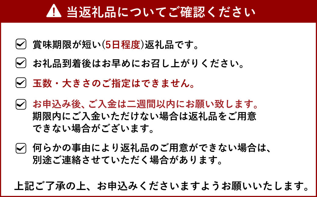 【先行予約】不知火 約3kg【のむちゃん農園】【2025年2月下旬から5月下旬発送予定】みかん 不知火 柑橘 果物 フルーツ 熊本県 