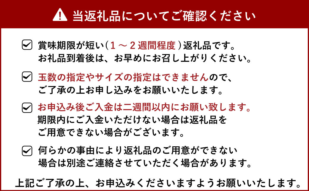 【先行予約】宇城市産 不知火 約5kg【谷川果樹園】【2025年3月上旬～5月上旬発送予定】しらぬい 果物 くだもの フルーツ 柑橘