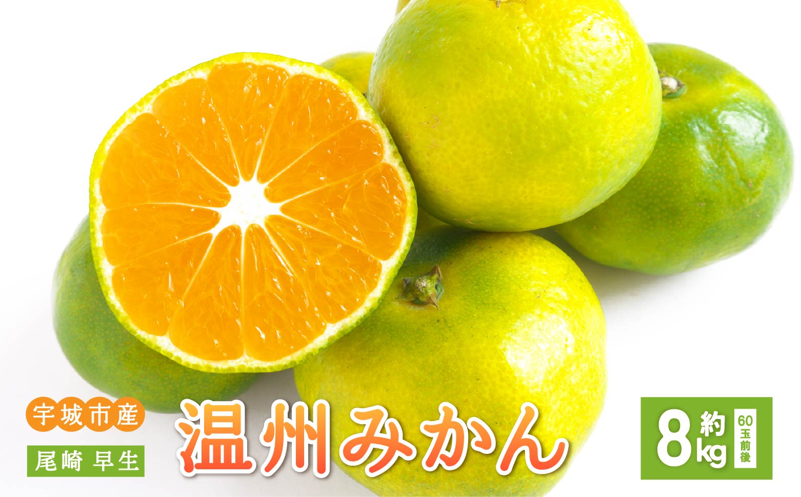 å
è¡äºçŽ ã¿ãã å°ŸåŽ æ©ç æž©å·ã¿ãã çŽ8kg (60çååŸ) ã2026幎12æäžæ¬ãã12æäžæ¬é çºéäºå®ã æ©çã¿ãã ã¿ãã ãã«ã³ èæ ãã«ãŒã æç© ãã ãã® ã²ã§ã¿ãã