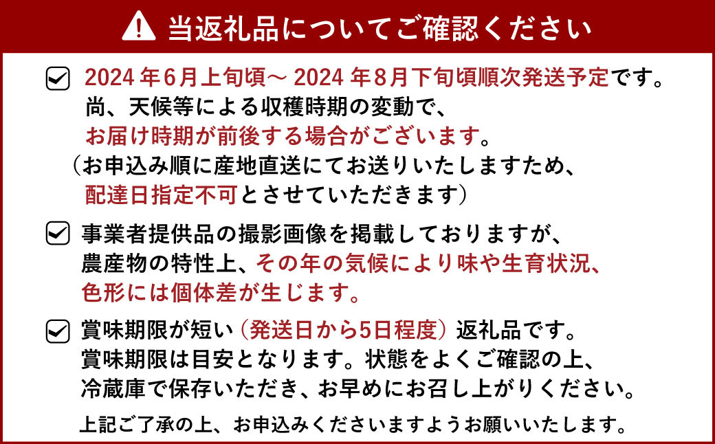 ハウスイチジク 約4kg（約250g×16パック）【合同会社宝Farm】【6月上旬から8月下旬発送予定】※北海道・沖縄・離島配送不可