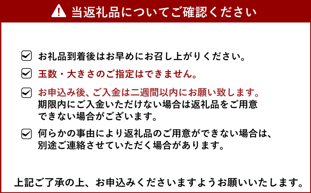 宇城市産 はるか 約5kg 【のむちゃん農園】【2025年1月上旬から3月下旬発送予定】みかん はるか 柑橘 果物 フルーツ 熊本県 