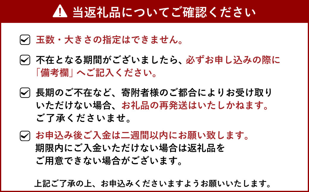 【先行予約】訳あり ハウス 不知火 約5kg【合同会社宝Farm】【2025年1月下旬から3月上旬発送予定】