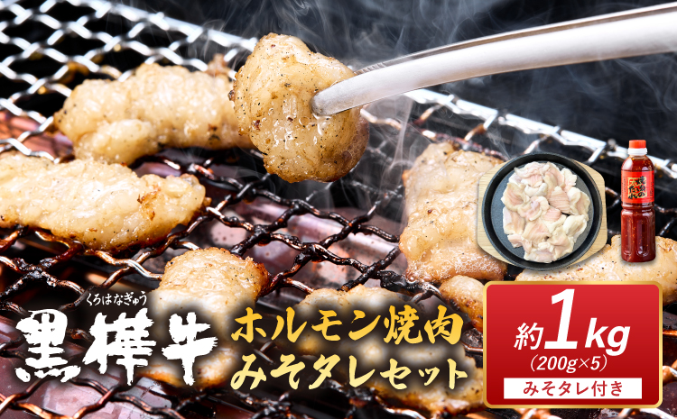 黒樺牛 ホルモン焼肉 みそタレセット 約1kg 200g×5 焼き肉 牛肉 もつ 牛ホルモン 和牛 牛 ブランド牛 おかず BBQ バーベキュー 味噌 肉の日 冷凍 九州産 ギフト プレゼント 贈り物