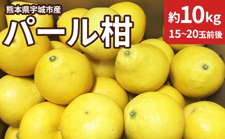 【先行予約】 熊本県宇城市産 パール柑 約10kg 【2026年2月上旬から4月中旬発送予定】文旦 柑橘 フルーツ 果物 果実 みかん 蜜柑 ミカン