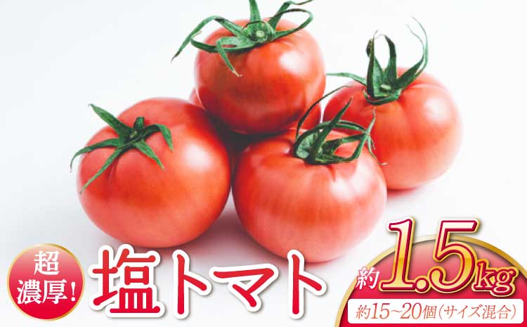 超濃厚! 宇城市産 塩トマト 約1.5kg （約15～20個サイズ混合）【2026年4月上旬〜6月中旬頃順次発送予定】【しんたのトマト農園】
