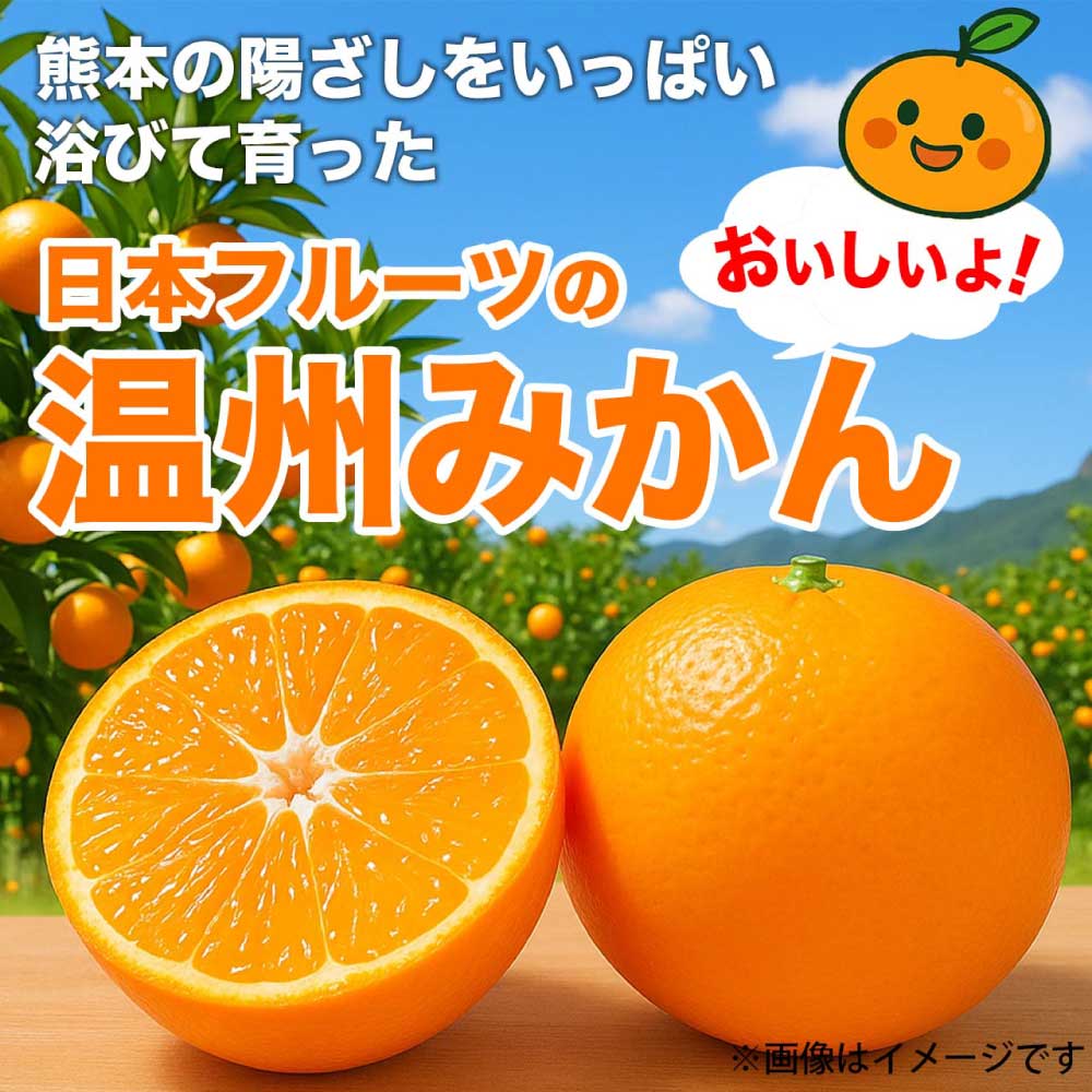 先行予約 温州みかん 約5kg (2S〜2L)【2026年10月上旬〜2027年2月下旬発送予定】みかん ミカン フルーツ 果物 柑橘 かんきつ 蜜柑 うんしゅうみかん ウンシュウミカン 熊本県 熊本 九州 宇城市 国産 高糖度 甘い ジューシー 日本フルーツ