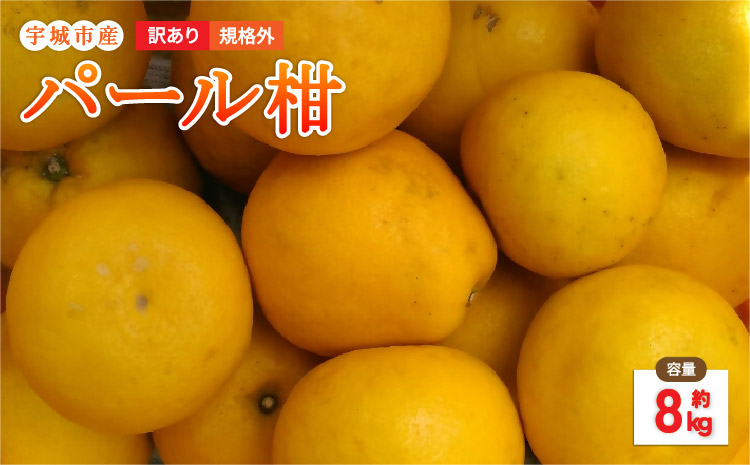 【先行予約】 パール柑 8kg 規格外 サイズ不選別【2026年1月下旬〜2月下旬発送予定】 果物 くだもの フルーツ 柑橘 文旦 ぶんたん ザボン ポンカン