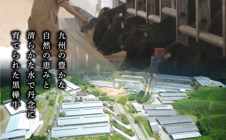 九州産黒毛和牛  杉本本店 黒樺牛 A4~A5等級 モモステーキ 100g×6 計600g