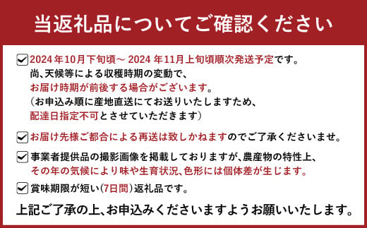 太秋柿 約3.5kg（9～12玉）【斉藤太秋柿園】【10月下旬から11月上旬発送予定】柿 かき 果物 フルーツ