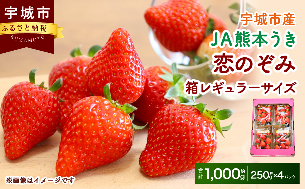 【JA熊本うき】恋のぞみ（250g×4パック）合計1kg 箱レギュラーサイズ【2025年1月上旬～3月上旬発送予定】いちご 苺 イチゴ