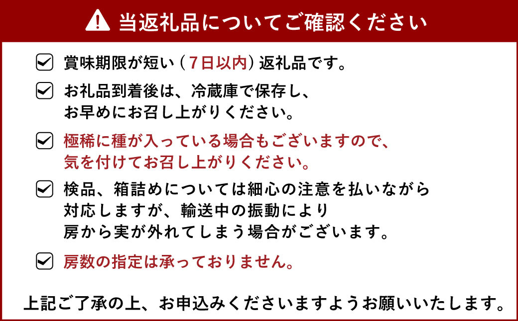 宇城市産 種無し ピオーネ 約1.2kg（3～4房）株式会社津志田【7月上旬～7月下旬発送予定】