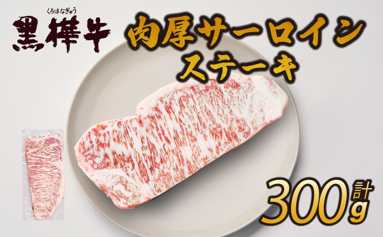 九州産黒毛和牛 杉本本店 黒樺牛 A4〜A5等級 肉厚サーロインステーキ 300g