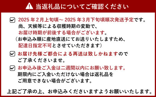 宇城市産 不知火 約8kg（25個前後） ひでみかん 【2025年2月上旬から3月下旬発送予定】 柑橘 果物 くだもの お取り寄せ 熊本県 宇城市