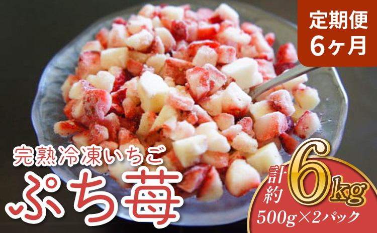 ãå®æäŸ¿6ã¶æãå®çå·åãã¡ããã·ã¡èºã1kg 500gÃ2ãã㯠åæèºå